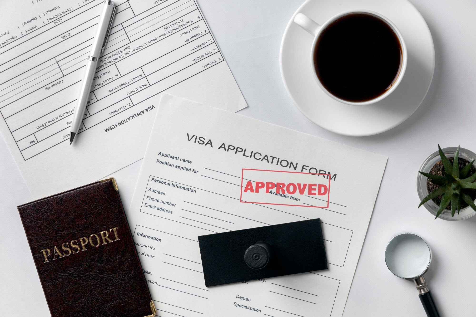 Exploring Visa Options for Startups: A Comprehensive Guide to Entrepreneurial Immigration Programs in Canada