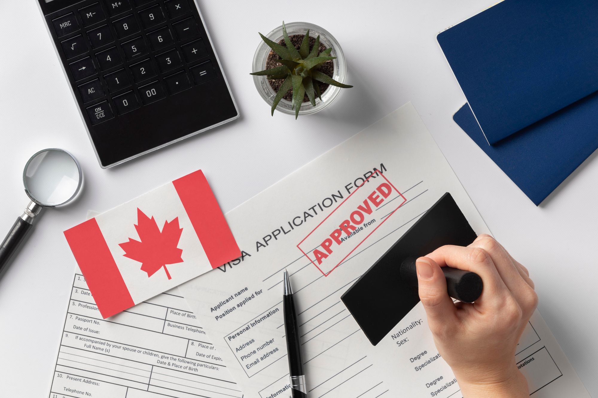 Exploring Visa Options for Startups: A Comprehensive Guide to Entrepreneurial Immigration Programs in Canada