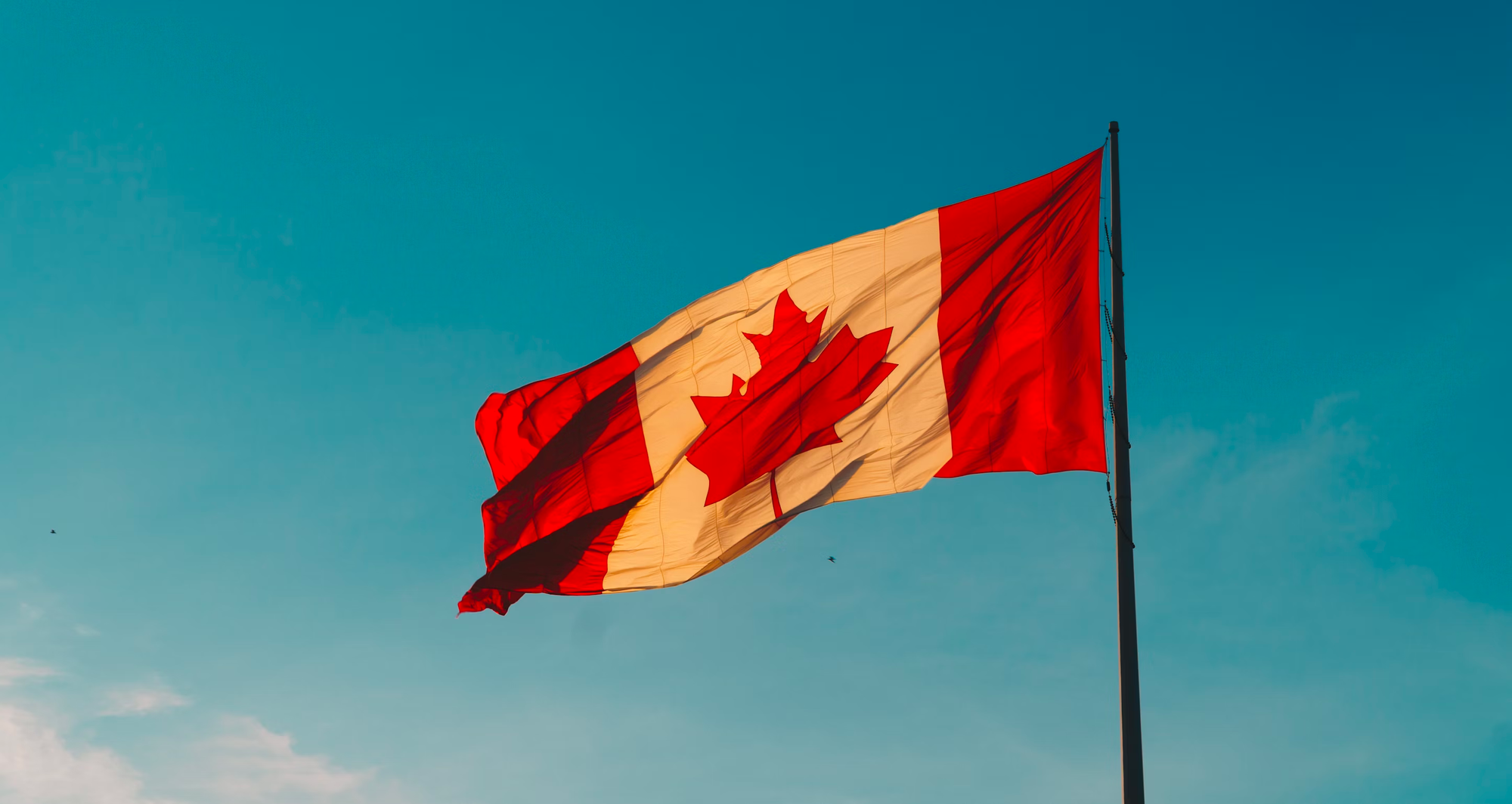 the canadian government has many innovative programs to support founders